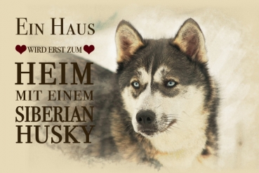 Nostalgieschild - Hundeschild im Retrostil Motiv: Siberian Husky (Sibirischer Husky) #2